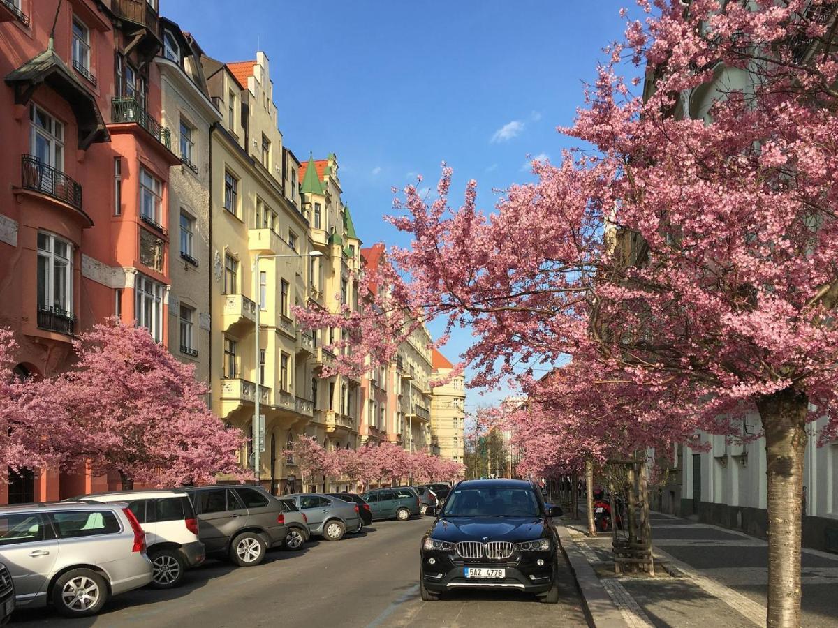 Modern&huge Apts In Center By Michal&friends * Prag
